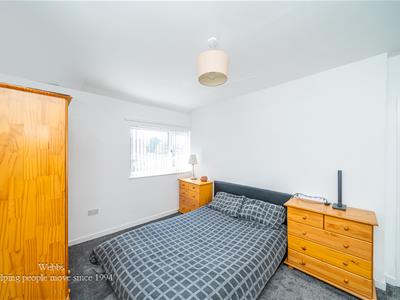 Picture 19